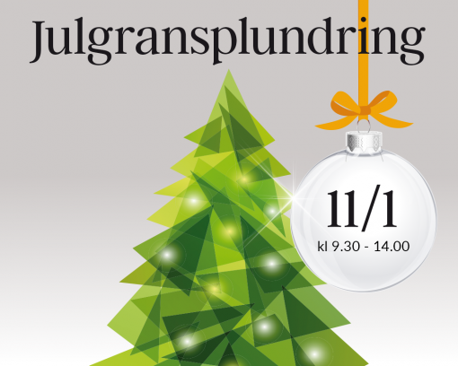 Julgransplundring 11 januari 2020