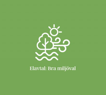 Elavtal: Bra miljöval